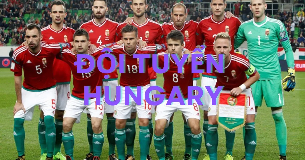 HLV hiện tại của Đội Tuyển Hungary